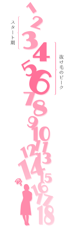 �����ъ���